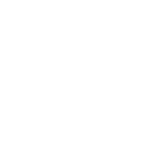 Github Repo